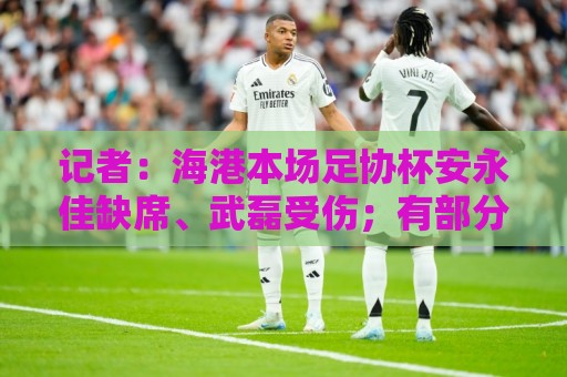 记者:海港本场足协杯安永佳缺席、武磊受伤;有部分梯队球员补充 记者:海港本场足协杯安永佳缺席、武磊受伤;有部分梯队球员补充
