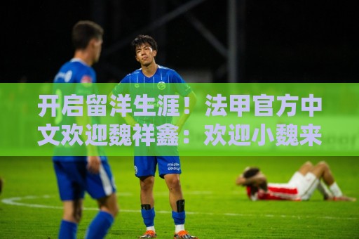 开启留洋生涯!法甲官方中文欢迎魏祥鑫:欢迎小魏来到法甲! 开启留洋生涯!法甲官方中文欢迎魏祥鑫:欢迎小魏来到法甲!
