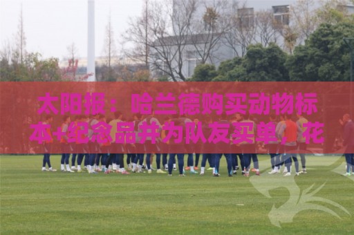 太阳报:哈兰德购买动物标本+纪念品并为队友买单,花费约1万美元 太阳报:哈兰德购买动物标本+纪念品并为队友买单,花费约1万美元