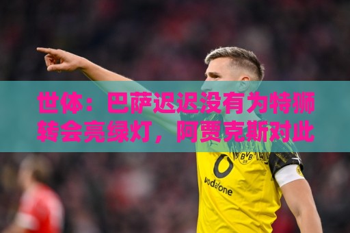 世体：巴萨迟迟没有为特狮转会亮绿灯，阿贾克斯对此延误感到不解