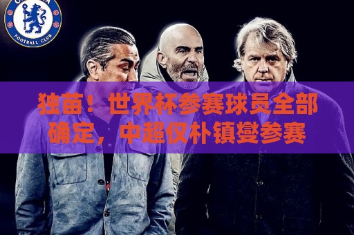 独苗!世界杯参赛球员全部确定,中超仅朴镇燮参赛 独苗!世界杯参赛球员全部确定,中超仅朴镇燮参赛