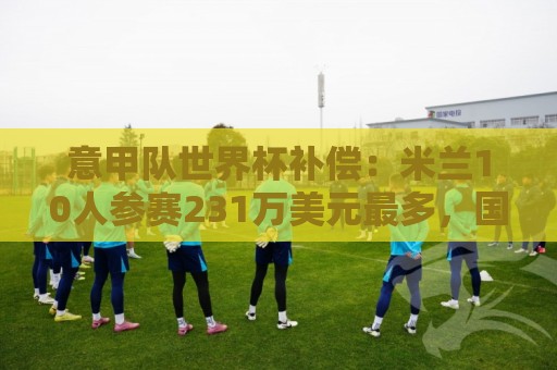 意甲队世界杯补偿：米兰10人参赛231万美元最多，国米第3尤文第4