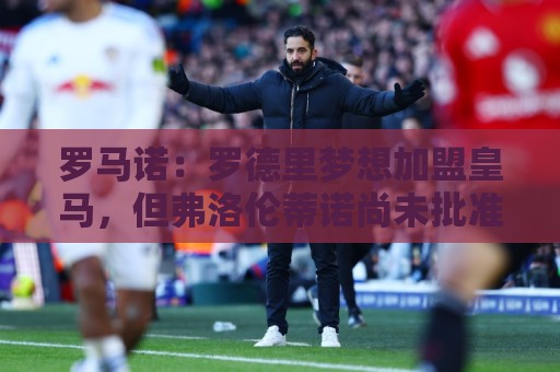 罗马诺:罗德里梦想加盟皇马,但弗洛伦蒂诺尚未批准引进他 罗马诺:罗德里梦想加盟皇马,但弗洛伦蒂诺尚未批准引进他