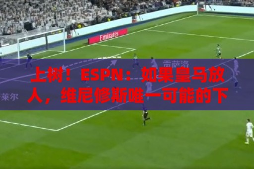 上树!ESPN:如果皇马放人,维尼修斯唯一可能的下家只有阿森纳 上树!ESPN:如果皇马放人,维尼修斯唯一可能的下家只有阿森纳