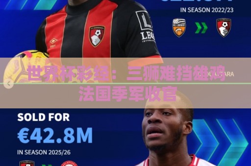 世界杯彩经：三狮难挡雄鸡 法国季军收官