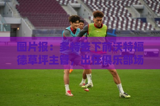 图片报：多特签下前沃特福德草坪主管，出任俱乐部场地管理负责人