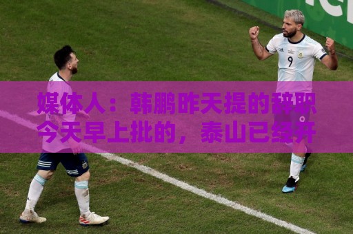 媒体人:韩鹏昨天提的辞职今天早上批的,泰山已经开始选外教工作 媒体人:韩鹏昨天提的辞职今天早上批的,泰山已经开始选外教工作