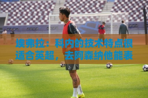 埃弗拉:科内的技术特点很适合英超,去阿森纳他能表现出色 埃弗拉:科内的技术特点很适合英超,去阿森纳他能表现出色