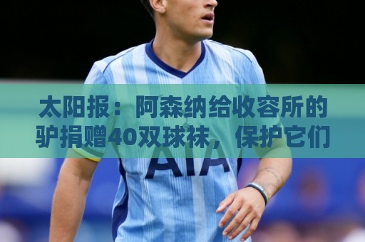 太阳报:阿森纳给收容所的驴捐赠40双球袜,保护它们腿部免受感染 太阳报:阿森纳给收容所的驴捐赠40双球袜,保护它们腿部免受感染