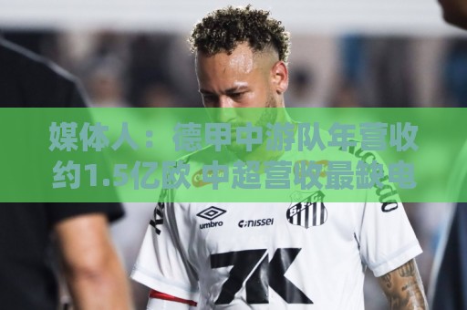 媒体人:德甲中游队年营收约1.5亿欧 中超营收最缺电视转播和卖人 媒体人:德甲中游队年营收约1.5亿欧 中超营收最缺电视转播和卖人