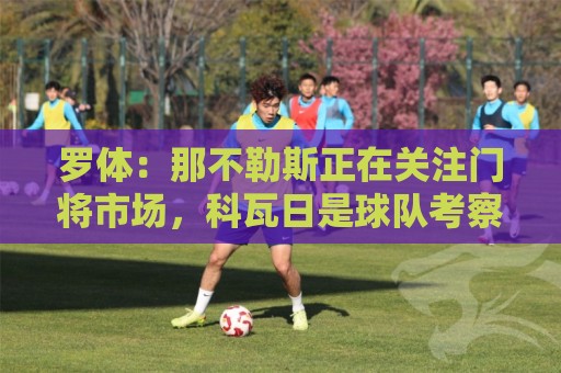 罗体:那不勒斯正在关注门将市场,科瓦日是球队考察名单人选之一 罗体:那不勒斯正在关注门将市场,科瓦日是球队考察名单人选之一