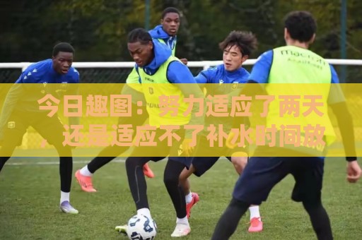 今日趣图:努力适应了两天,还是适应不了补水时间放广告…… 今日趣图:努力适应了两天,还是适应不了补水时间放广告……