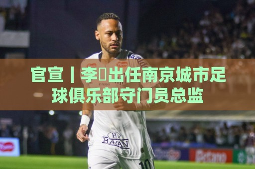 官宣｜李勣出任南京城市足球俱乐部守门员总监